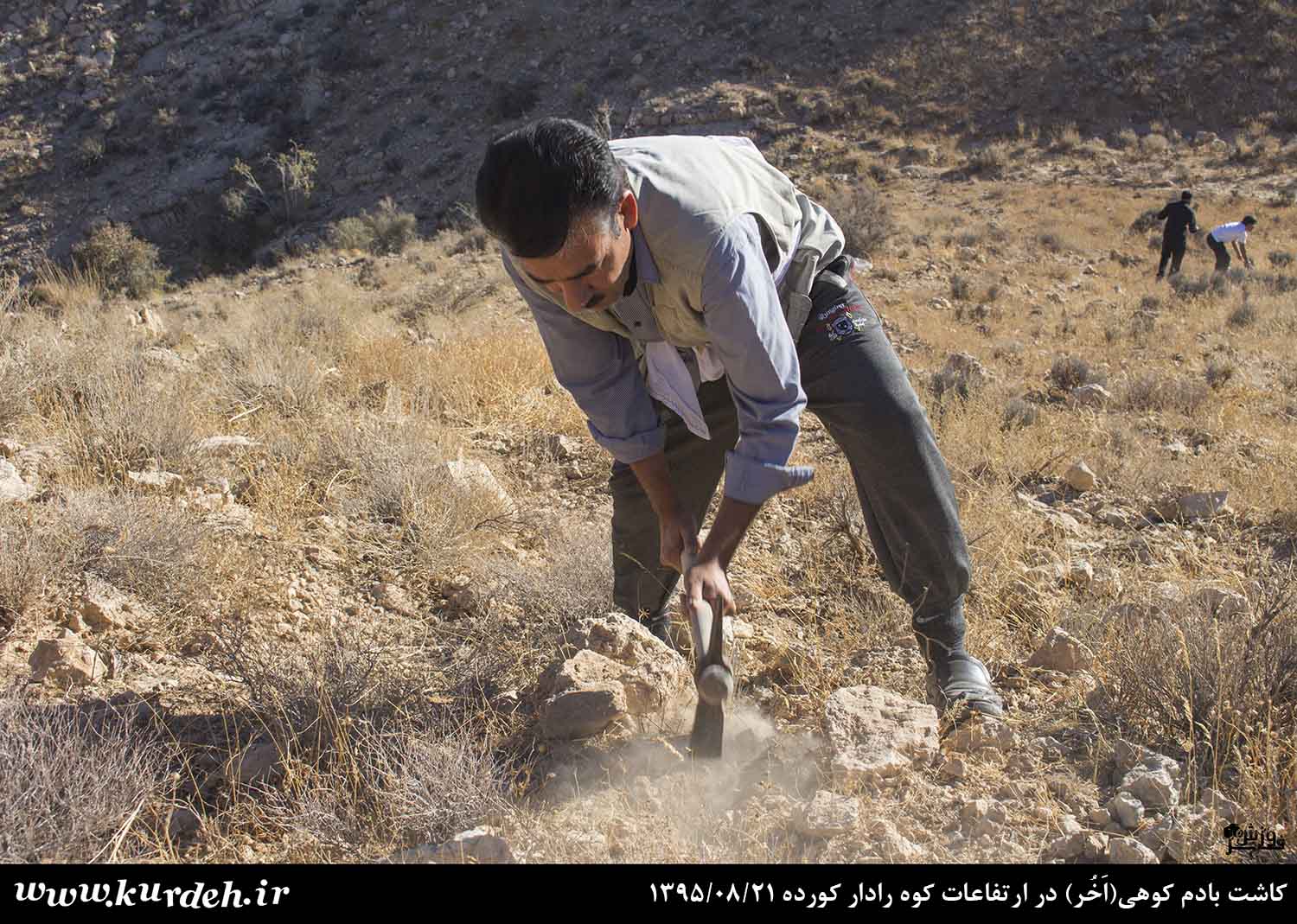 تصویر وجود ندارد